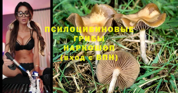 spice Лиски
