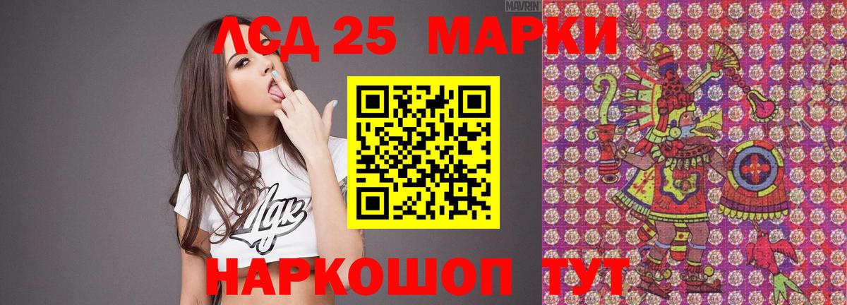 Лсд 25 экстази  Лсд 25 экстази ecstasy  Бердск  Вход с VPN  LSD-25 экстази ecstasy 