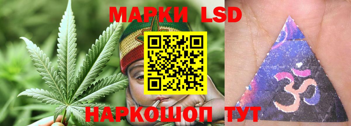LSD-25 экстази кислота  Бердск  ЛСД экстази кислота 