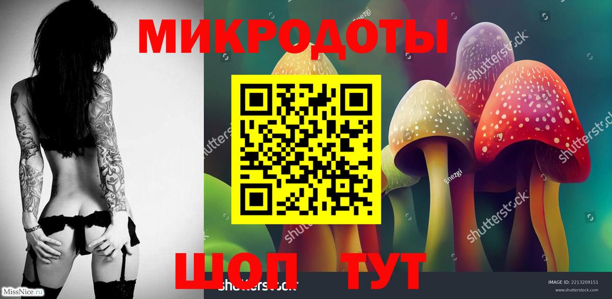 Бердск  Псилоцибиновые грибы Psilocybine cubensis  Вход с VPN 