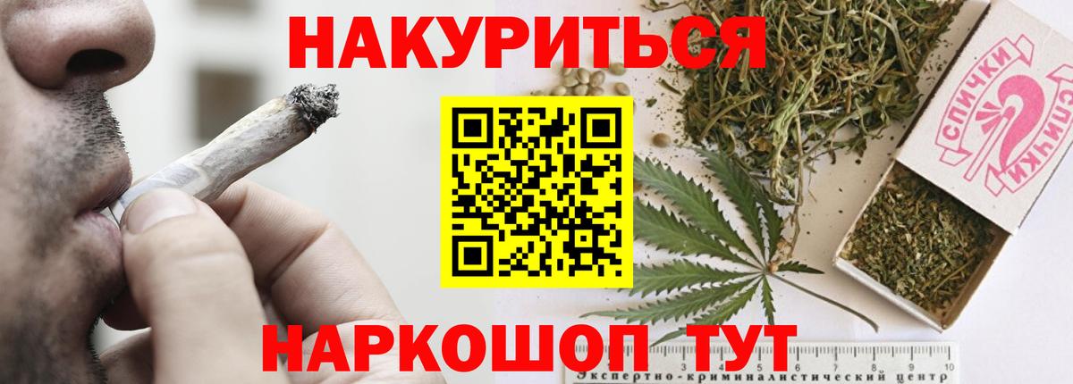 Шишки марихуана конопля  Вход с VPN  Бердск  Канабис планчик 